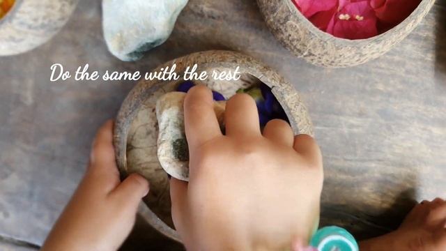 Colors of Nature: Extracting Natural pigments from plants смотреть онлайн