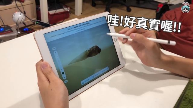 新一代2018版 iPad 快速開箱上手玩 (支援 Apple pencil 平價版) смотреть онлайн