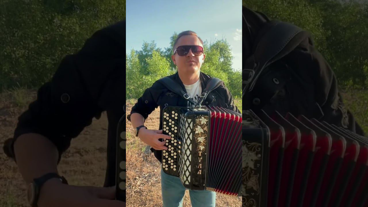 Вот так звучит в лесу БАЯН#баянист #гармонист #каверхит смотреть онлайн