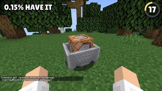 35 Rarest Minecraft Items!