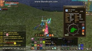 Не дон петы для друида в PW