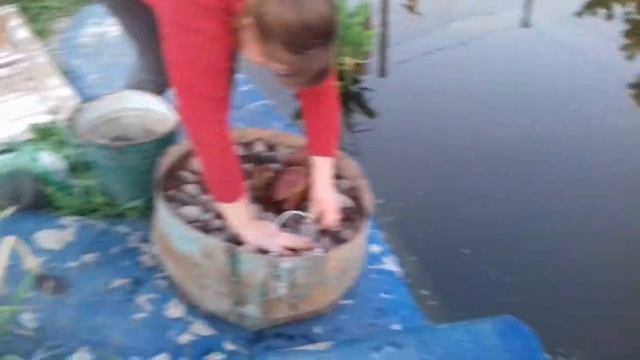 Пруд своими руками из бетона с биоплато. Посадка нимфей.