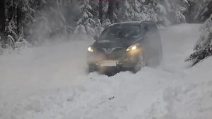 great wall Hover H5 на лесном бездорожье