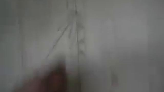 Как нарисовать овал смотреть онлайн