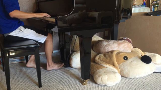 Numb (Linkin Park) on Piano смотреть онлайн