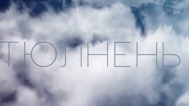 тюлень смотреть онлайн