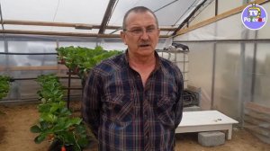 ТЕПЛОВАЯ ПУШКА ДЛЯ АВАРИЙНОГО ОТОПЛЕНИЯ ТЕПЛИЦЫ