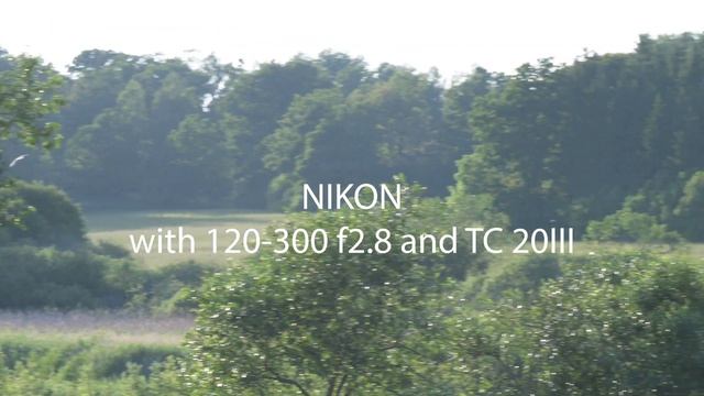 NIKON D6 versus CANON EOS 1DX MARK iii смотреть онлайн