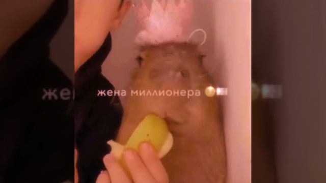 Моя песня( идея песни не моя) смотреть онлайн