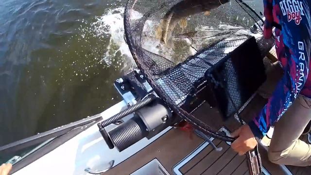 Какие МОНСТРЫ клюют в Сызрани на Волге!? Выступление на PAL 2022. Первый этап