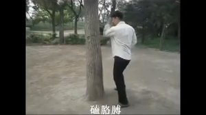 Бацзи цюань