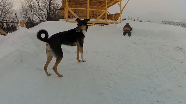 СНЕГОУБОРЩИК против 60 см СНЕГА. Зверь -машина! смотреть онлайн