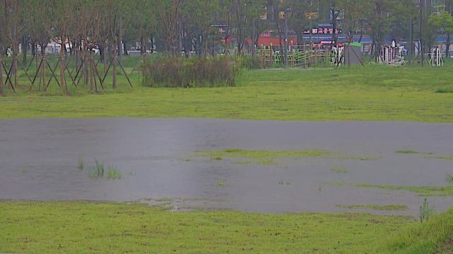 Отдохни 15 минут. Расслабляющий шум дождя в городском парке. Пение птиц. Звук дождя для отдыха и сн смотреть онлайн