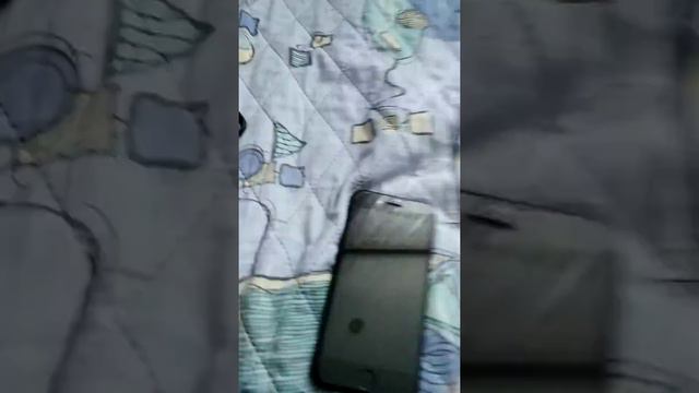 Мирные злые собаки