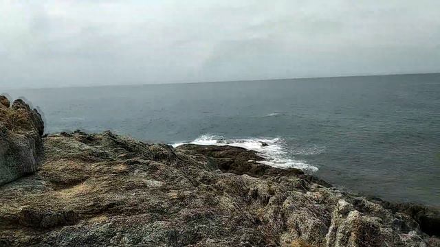 Тепло Слона и мощь Промтепа смотреть онлайн