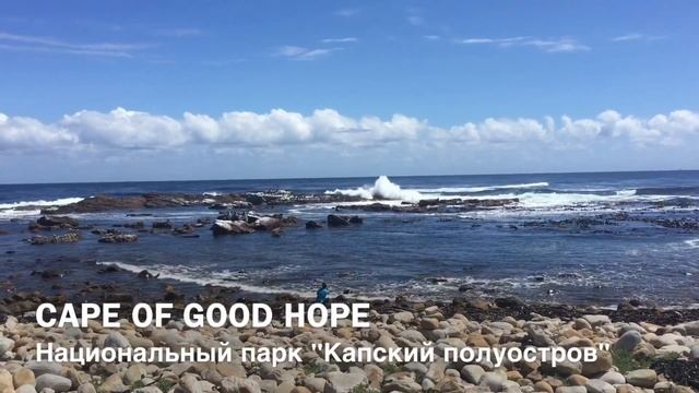 My Trip to CAPETOWN/ Моё Путешествие в Кейптаун смотреть онлайн