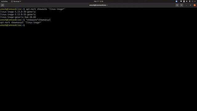 032 - How To Cleanup Unwanted Dependencies, Broken Libraries And Old Kernels | Ubuntu | Red Hat смотреть онлайн