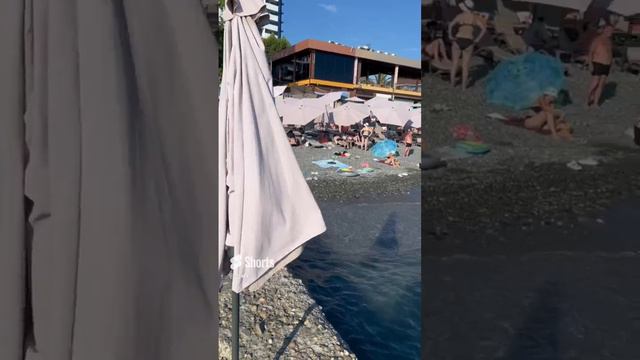 Пляж - г. Адлер.