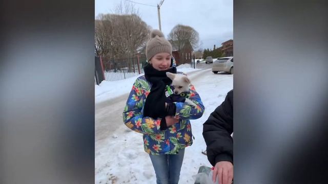 Талдом парк Победы смотреть онлайн