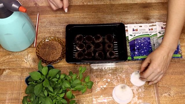Сею петунию и Новозеландский дельфиниум смотреть онлайн