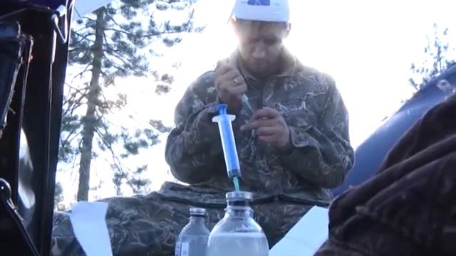 Вакцинация оленей смотреть онлайн