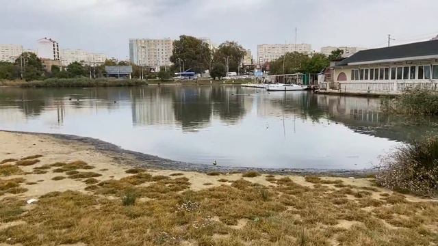 КРЫМ. Севастополь. Лебеди и утки прилетели на зимовку. Октябрь 2020г смотреть онлайн