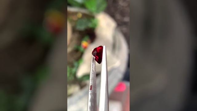 HV1563-9 | Garnet đỏ tự nhiên 2,2ct - Giá 5.000k - 0924.526.888 смотреть онлайн