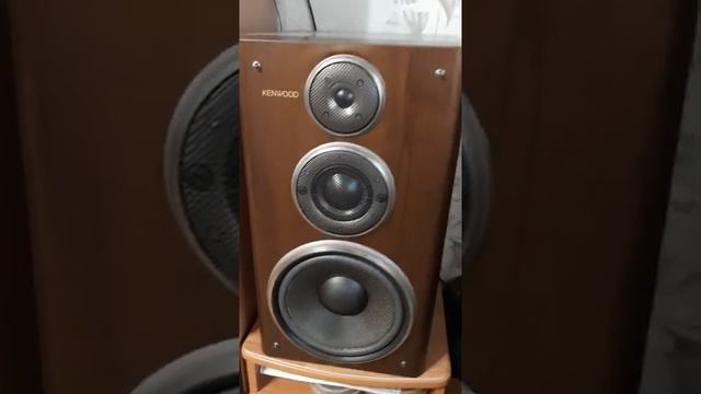 Колонки Kenwood и dvd-проигрыватель Rotel смотреть онлайн
