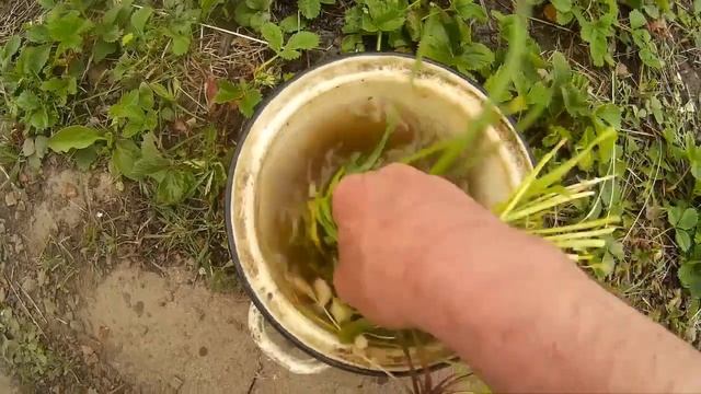 Цыплята вялые Что делать смотреть онлайн
