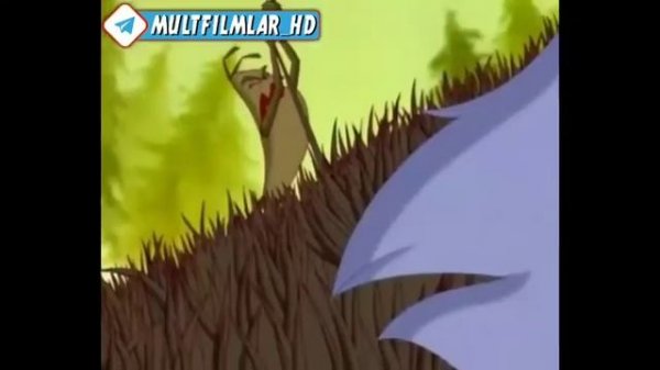 QIZIL QALPOQCHA VA BO‘RI uzbek tilida tarjima multfilm