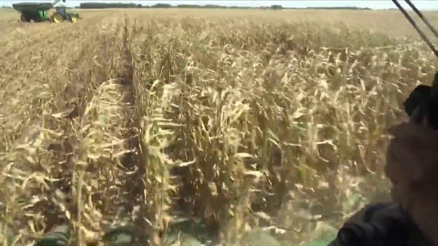 Caution Advised During Harvest Season смотреть онлайн