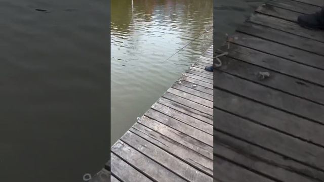 Рыбалка у Иваныча безлимит смотреть онлайн