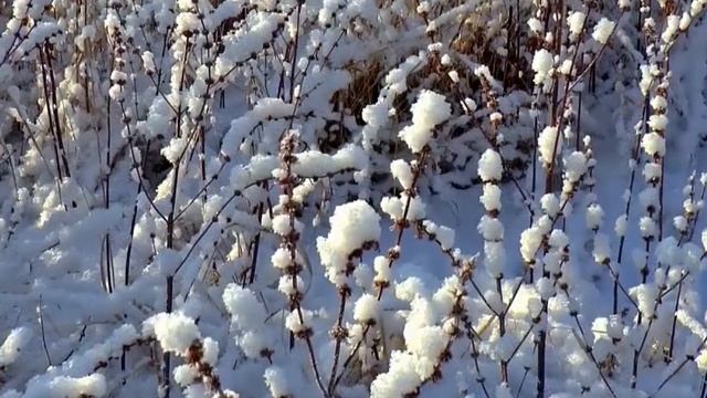 Приметы, обряды и гадания на 8 января смотреть онлайн