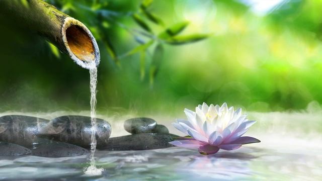 Música Relajante para Dormir + Insomnio - Alivio del Estrés, Música Relajante, Música para Dormir смотреть онлайн