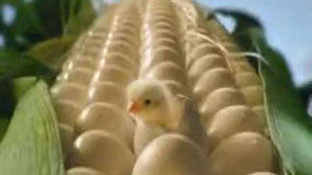 Жовтень 2008 року-червень 2009 року смотреть онлайн
