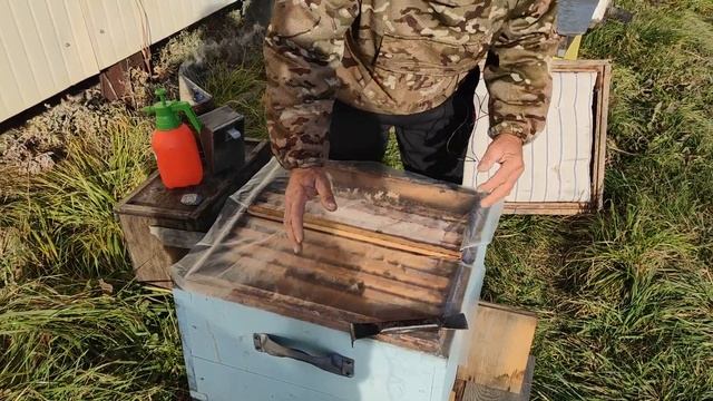 500+ Ноябрь. Про проблемные семьи + подготовка к эксперименту. смотреть онлайн