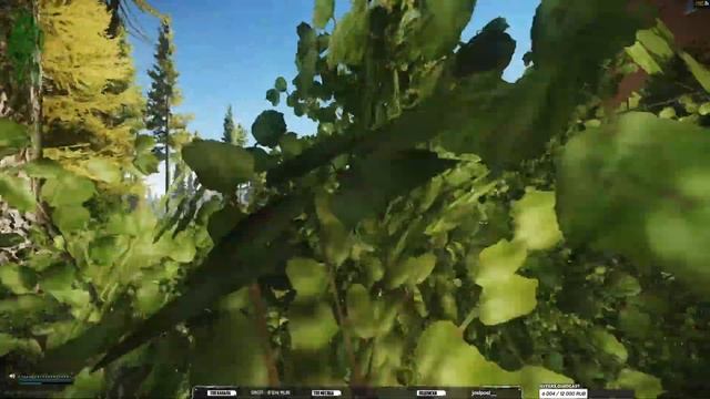Тарков Стрим ➤ Тестовый стрим ➤ Escape From Tarkov смотреть онлайн