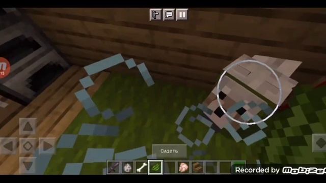 КАК ПОКРАСИТЬ ОШЕЙНИК СОБАКЕ В МАЙНКРАФТЕ? КАК ДАТЬ ЛЮБОЕ ИМЯ СОБАКЕ? смотреть онлайн