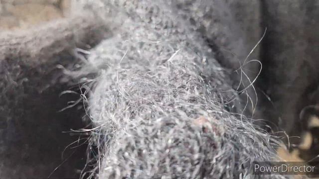 ЭТО НОВИНКИ ИМЕННЫЕ ПЛАТКИ ДЛЯ ЛЮБИМОЙ 89044126376 ВАТСАПП смотреть онлайн