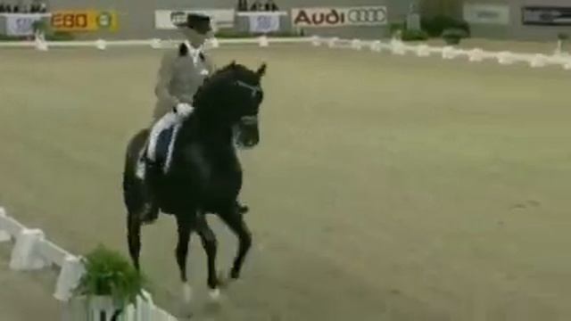 Edward Gal & Totilas,'s-Hertogenbosch World Cup Final 2010