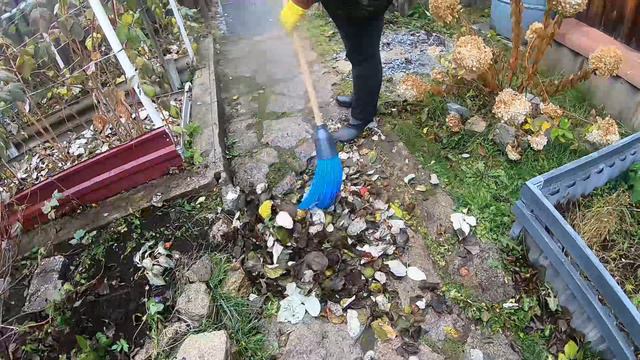 15 10 2022 Готовлю сад и огород к зиме. Посадила чеснок. смотреть онлайн