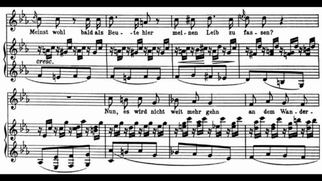[H] 15. Die Krähe (F. Schubert) Op.89 in c / Piano accompaniment смотреть онлайн