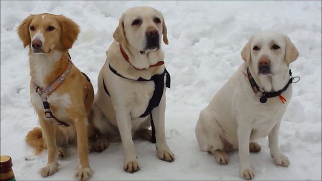 Развилка 26.02.12. 