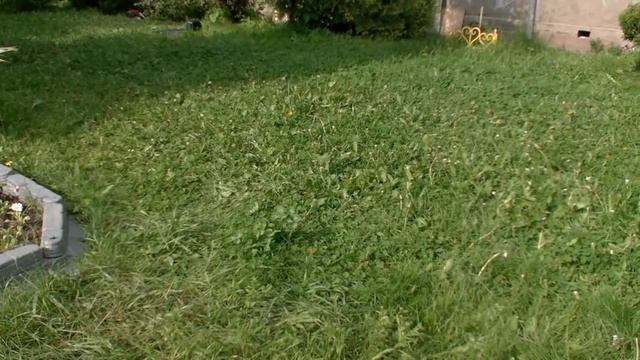 Робот газонокосилка Bosch Indego и Robomow RS612, сравнение и большой тест смотреть онлайн