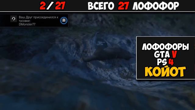 GTA 5 - ЛОФОФОРЫ - КОЙОТ (+Карта)[2/27] PS4 смотреть онлайн