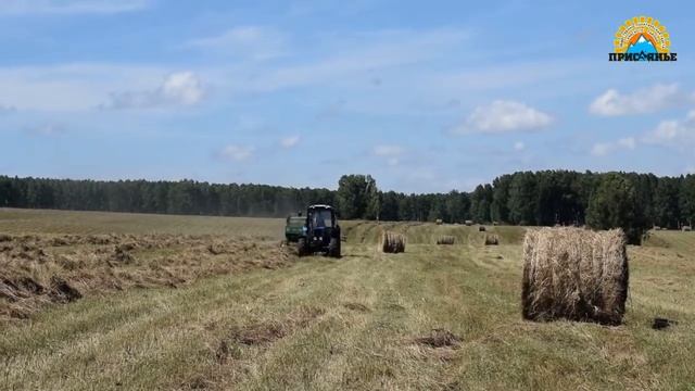 Кормозаготовка 2020 смотреть онлайн