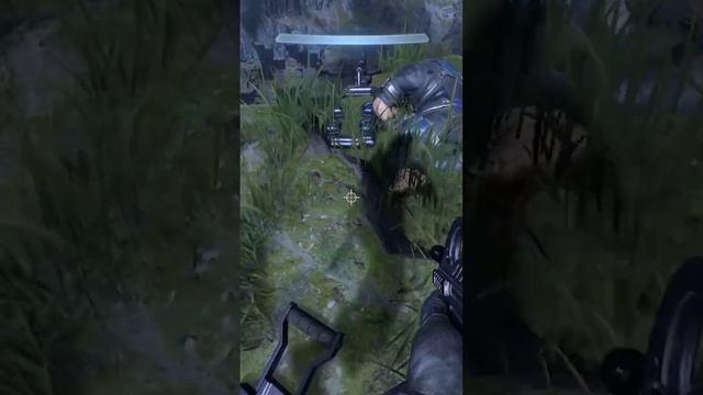 CURIOSIDADES en HALO INFINITE ? Han encontrado alguna? #halo #haloinfinite #xbox #haloce смотреть онлайн