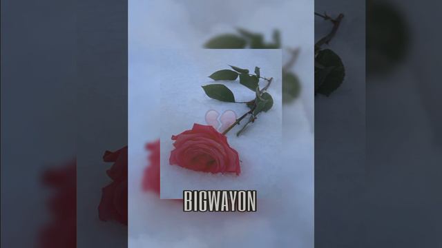 Beat (Бит) Trap (official Product By Bigwayon)