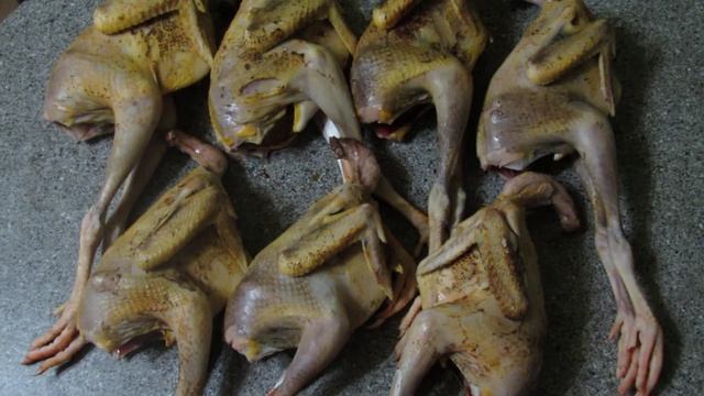 "Перепёлкино" Бройлерная цесарка вес тушки 300гр. смотреть онлайн