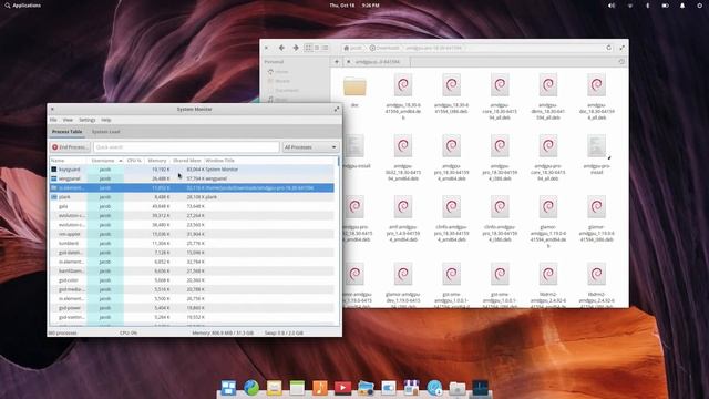 elementary OS 5.0 "Juno" Installation & AMD Driver Setup смотреть онлайн